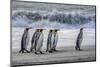 South Georgia Island. King penguins marching in front of Crashing Wave-Howie Garber-Mounted Photographic Print