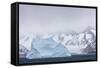 South Georgia Island. Large Iceberg Floats Past Mountains-Jaynes Gallery-Framed Stretched Canvas