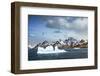 South Georgia Island. Mountain landscape and glacial ice near Drygalski Fjord.-Yuri Choufour-Framed Photographic Print