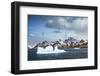 South Georgia Island. Mountain landscape and glacial ice near Drygalski Fjord.-Yuri Choufour-Framed Photographic Print