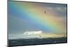 South Georgia Island. Rainbow and seabirds over iceberg at Gold Harbour.-Yuri Choufour-Mounted Photographic Print