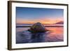 South Georgia Island, St. Andrew's Bay. Elephant Seal in Beach Surf at Sunrise-Jaynes Gallery-Framed Photographic Print