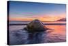 South Georgia Island, St. Andrew's Bay. Elephant Seal in Beach Surf at Sunrise-Jaynes Gallery-Stretched Canvas