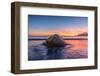 South Georgia Island, St. Andrew's Bay. Elephant Seal in Beach Surf at Sunrise-Jaynes Gallery-Framed Photographic Print