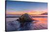 South Georgia Island, St. Andrew's Bay. Elephant Seal in Beach Surf at Sunrise-Jaynes Gallery-Stretched Canvas