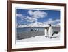 South Georgia Island-Donald Paulson-Framed Giclee Print