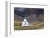 South Georgia, King Edward Cove, Grytviken, Grytviken whaling station.-Ellen Goff-Framed Photographic Print