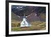 South Georgia, King Edward Cove, Grytviken, Grytviken whaling station.-Ellen Goff-Framed Photographic Print