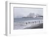 South Georgia, Salisbury Plain. After a snowfall, the beach at Salisbury Plain-Ellen Goff-Framed Photographic Print