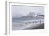 South Georgia, Salisbury Plain. After a snowfall, the beach at Salisbury Plain-Ellen Goff-Framed Photographic Print