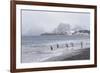 South Georgia, Salisbury Plain. After a snowfall, the beach at Salisbury Plain-Ellen Goff-Framed Photographic Print