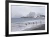 South Georgia, Salisbury Plain. After a snowfall, the beach at Salisbury Plain-Ellen Goff-Framed Photographic Print