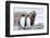 South Georgia, Salisbury Plain, king penguin, southern elephant seal-Ellen Goff-Framed Photographic Print