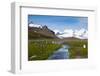 South Georgia. Salisbury Plain. King Penguins, Aptenodytes Patagonicus-Inger Hogstrom-Framed Photographic Print