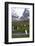 South Georgia. Salisbury Plain. King Penguins, Aptenodytes Patagonicus-Inger Hogstrom-Framed Photographic Print