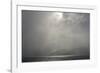 South Georgia. Shore Obscured by a Sudden Storm of Katabatic Winds-Inger Hogstrom-Framed Photographic Print