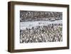 South Georgia, St. Andrew's Bay. A meltwater river flows through the colony and the penguins-Ellen Goff-Framed Photographic Print