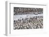 South Georgia, St. Andrew's Bay. A meltwater river flows through the colony and the penguins-Ellen Goff-Framed Photographic Print