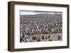 South Georgia, St. Andrew's Bay. Adults interspersed with chicks create a pattern-Ellen Goff-Framed Photographic Print