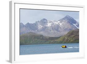 South Georgia. Zodiac with Tourists Makes its Way Back to the Ship-Inger Hogstrom-Framed Photographic Print