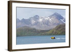 South Georgia. Zodiac with Tourists Makes its Way Back to the Ship-Inger Hogstrom-Framed Photographic Print