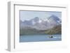 South Georgia. Zodiac with Tourists Makes its Way Back to the Ship-Inger Hogstrom-Framed Photographic Print