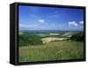 South Harting from the South Downs Way, Harting Down, West Sussex, England, United Kingdom-Pearl Bucknall-Framed Stretched Canvas