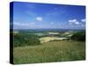 South Harting from the South Downs Way, Harting Down, West Sussex, England, United Kingdom-Pearl Bucknall-Stretched Canvas