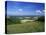 South Harting from the South Downs Way, Harting Down, West Sussex, England, United Kingdom-Pearl Bucknall-Stretched Canvas