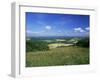 South Harting from the South Downs Way, Harting Down, West Sussex, England, United Kingdom-Pearl Bucknall-Framed Photographic Print