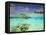 South Huvadhoo Atoll, Southern Maldives, Indian Ocean-Stuart Westmorland-Framed Stretched Canvas