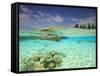 South Huvadhoo Atoll, Southern Maldives, Indian Ocean-Stuart Westmorland-Framed Stretched Canvas