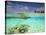 South Huvadhoo Atoll, Southern Maldives, Indian Ocean-Stuart Westmorland-Stretched Canvas