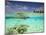 South Huvadhoo Atoll, Southern Maldives, Indian Ocean-Stuart Westmorland-Mounted Photographic Print