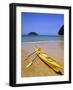 South Island, Nelson, Kayak on Onetahuti Beach in Abel Tasman National Park, New Zealand-Christian Kober-Framed Photographic Print