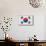 South Korea Flag Design with Wood Patterning - Flags of the World Series-Philippe Hugonnard-Mounted Art Print displayed on a wall