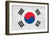 South Korea Flag Design with Wood Patterning - Flags of the World Series-Philippe Hugonnard-Framed Premium Giclee Print