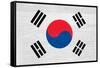 South Korea Flag Design with Wood Patterning - Flags of the World Series-Philippe Hugonnard-Framed Stretched Canvas