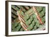 South Korea, Seoul, Jogyesa Temple, Daeungjeon, the Main Dharma Hall.-Merrill Images-Framed Photographic Print