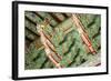 South Korea, Seoul, Jogyesa Temple, Daeungjeon, the Main Dharma Hall.-Merrill Images-Framed Photographic Print