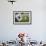 South Korean Flag Hanging at 2014 Memorial Day Event, Los Angeles National Cemetery, California, US-Joseph Sohm-Framed Photographic Print displayed on a wall