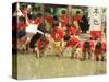 South Korean Kindergarten Pupils Plant Rice Seedlings-null-Stretched Canvas