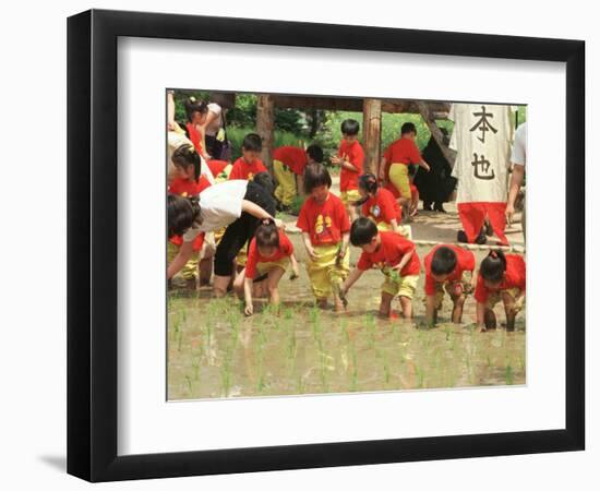 South Korean Kindergarten Pupils Plant Rice Seedlings-null-Framed Photographic Print