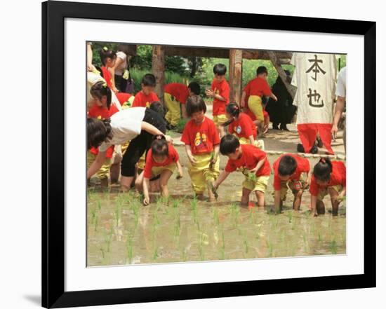 South Korean Kindergarten Pupils Plant Rice Seedlings-null-Framed Photographic Print