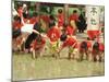 South Korean Kindergarten Pupils Plant Rice Seedlings-null-Mounted Photographic Print