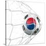 South Korean Soccer Ball in a Net-zentilia-Stretched Canvas