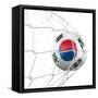 South Korean Soccer Ball in a Net-zentilia-Framed Stretched Canvas