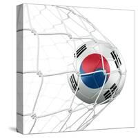 South Korean Soccer Ball in a Net-zentilia-Stretched Canvas