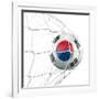 South Korean Soccer Ball in a Net-zentilia-Framed Art Print