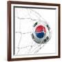 South Korean Soccer Ball in a Net-zentilia-Framed Art Print